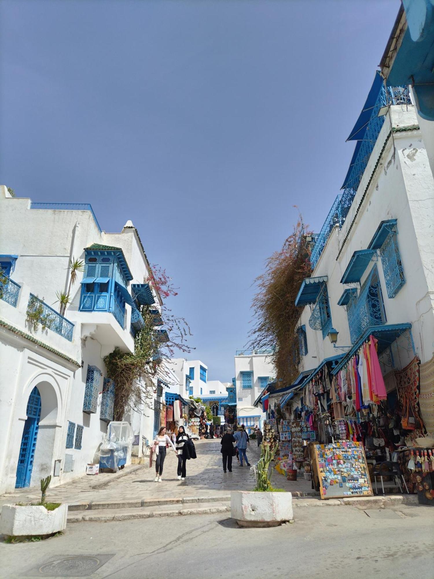 Marsa - Sidi Bousaid Lovely Authentic Apartment La Marsa Exterior foto