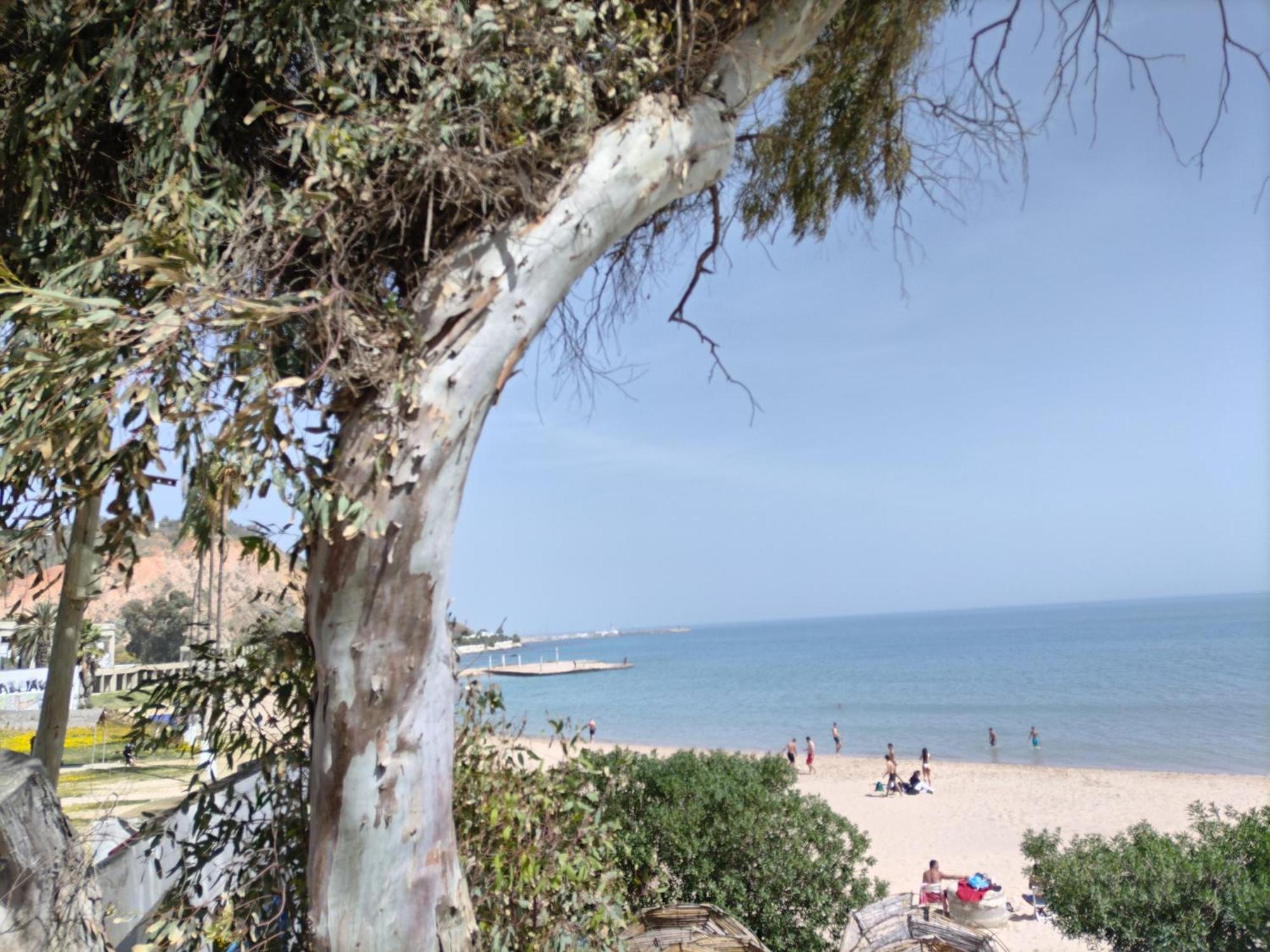 Marsa - Sidi Bousaid Lovely Authentic Apartment La Marsa Exterior foto